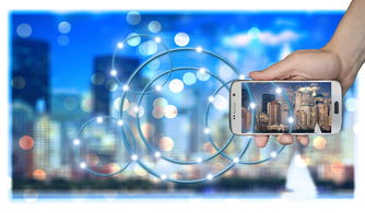 kaiyun中国官方网站-中国篮球职业俱乐部财务风险管理策略研究，篮球俱乐部运营情况