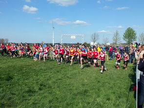 开云体育官网下载安装-中国篮球青少年篮球发展政策落实与推广，中国青少年篮球发展现状